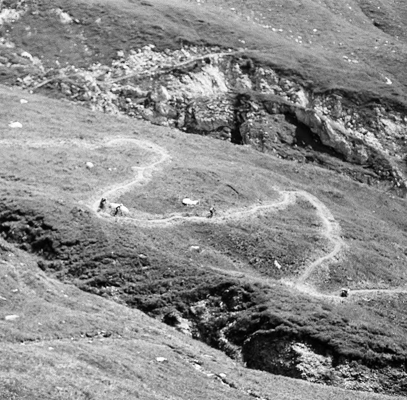 Trai Building MTB Trail Building – Trail Himalayas